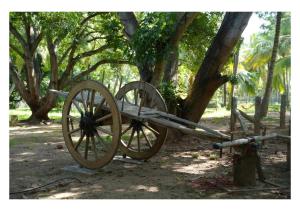 Down to Earth Farmstay by LAKSEM