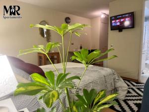 Acogedor Home Studio M Santa Lucia