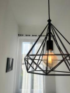 Appartements Festival Park Luxe Studio : photos des chambres
