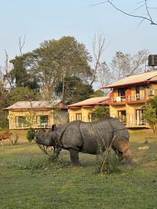 River Park International Resort