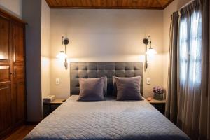 Dandy Villas Tsagkarada - Sky Blue Pansy - Jacuzzi