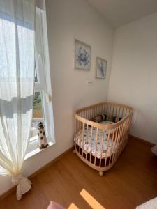 Villa Centenary Goose