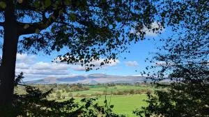Oak Forest Cottage - Kilcommon Bridge