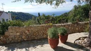 Olive Tree House - 阿洛尼索斯古镇