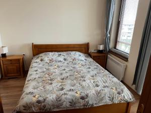 Ski Zone at Gondola, Warm and Cosy, WiFi, AC, Netflix, Perfect One Bedroom appartment, Beautiful View