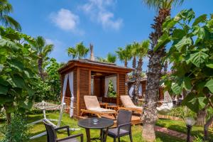 Delphin Diva Premiere