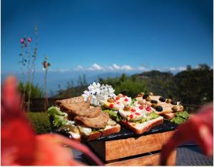 The Terraces - a boutique resort in himalayas