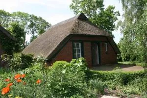 Ferienhaus Meiners - Stollhammerdeich