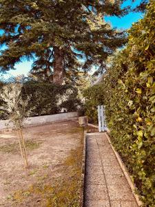 Maisons de vacances ENTRE LA VIGNE et L-OLIVIER : photos des chambres