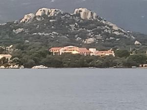 Appartements Appt neuf 2-4 pers avec loggia - Piscine chauffee - Bord de mer - Corse du Sud- Bonifacio : photos des chambres