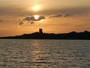 Appartements Appt neuf 2-4 pers avec loggia - Piscine chauffee - Bord de mer - Corse du Sud- Bonifacio : photos des chambres