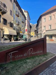SASS MAOR 2 bedrooms apartment 80 sm Fiera di Primiero TN