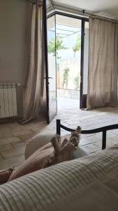 Appartements Domaine des Hauts de Riganel : photos des chambres
