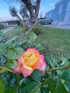 Anastasia Beach Cottage POMELIA