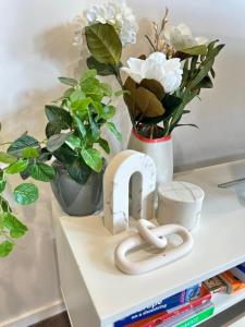 Cosy getaway in the Heart of Braddon - Hosted by Canstay