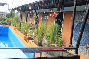 Shivas Hippies Colony