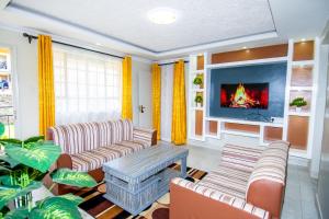 Blink comfort suite -Zebra