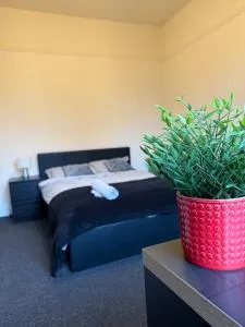 Chantry lets - Healing