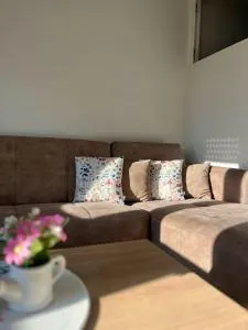 Apartman Nest - Mokrin