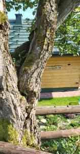 Pieśń Poranka Domek