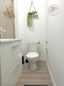 Cosy Studio 4 - Serene Escape