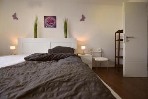 Ferienwohnung Border Collie