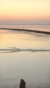 Ferienwohnung Border Collie