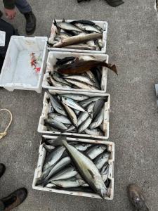 Cozy Oceanfront Escape