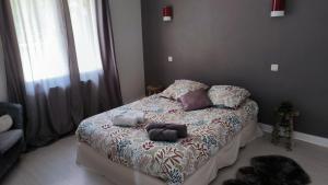 Maisons de vacances Agreable maison a 5' de Blois : photos des chambres