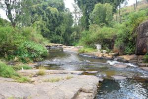 Riverside Camping Bogawanthalawa