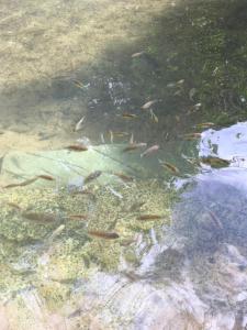 APTO 115 Park Veredas - Vista Piscinas - Acesso ao Rio quente - Espetacular