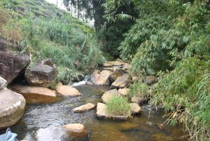 Riverside Camping Bogawanthalawa
