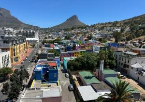 Urban Elephant, The Rose