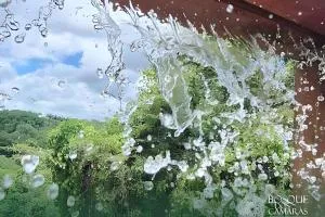 Refúgio Vista Bosque x Piscina - 卡马拉吉贝