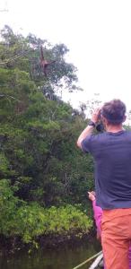 alojamiento en el amazonas