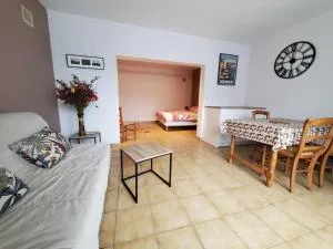 Studio-Château Castelnaud-Au bord de la rivière - 贝纳克和卡泽纳克