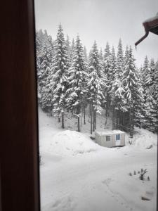 NiSimo Apartment Grand Resort Pamporovo