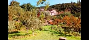 Ourika Timalizène le jardin des délices - Timalizèn