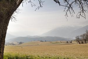 Herzleierhof Rodeneck