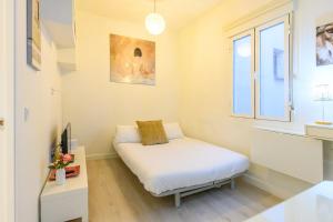 TEMPORAL apartment 1 bedroom flat a few metres from the city centre AMA2721