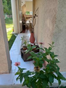 MIRADOR DEL LAGO - La Vista