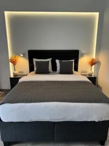 LaHuzur Camera Dubla - Therme Balotesti & Aeroport Otopeni - Vlădiceasca