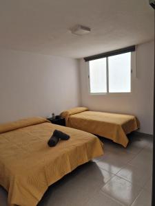 Canteras Penthouse By Misser