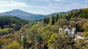 The Towers - 凯珀尔克里格