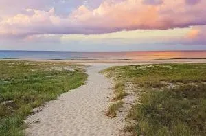 Seascape Ocean View Serenity - Bilinga