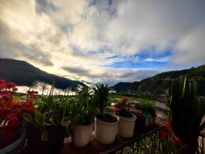 Catlins Cabin and Cafe