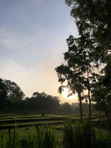 Pai casita resort ,Mud house -5mins from city