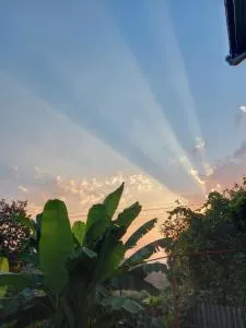 Guest House Nineli - Zeda Dagva