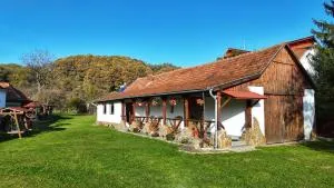 Casa de Peste Apă - Toteşti