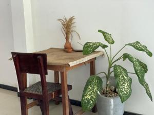 Bananas Mirissa
